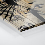 Lotus Print on Acrylic Glass by Loui Jover (24"H x 24"W x 0.25"D)