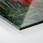 A Girl In A Red Kimono Feeds A Bird From Her Hand Print on Acrylic Glass by Ievgeniia Bidiuk (24"H x 24"W x 0.25"D)