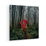 A Girl In A Red Kimono Feeds A Bird From Her Hand Print on Acrylic Glass by Ievgeniia Bidiuk (24"H x 24"W x 0.25"D)