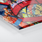 American Geisha Print on Acrylic Glass by Domonique Brown (16"H x 24"W x 0.25"D)