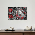 9 Kois Print on Acrylic Glass by Marine Loup (24"H x 16"W x 0.25"D)