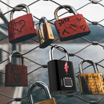 TOKK TSA Approved Fingerprint Lock (Single)