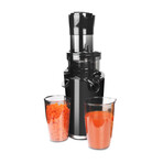 Dynamic Masticating Slow Juicer