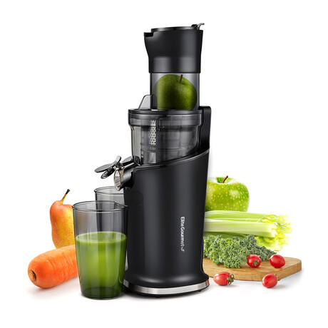 Dynamic Masticating Slow Juicer