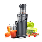 Dynamic Masticating Slow Juicer