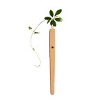 Extended Solid Wood Wall Vase Lamp with Motion Sensor (Medium Natural)