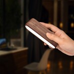 Rechargable Magnetic 360 Degree Reading Lamp (Natural)