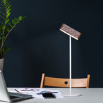 Rechargable Magnetic 360 Degree Reading Lamp (Natural)