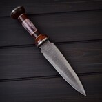 Roman Gladius Dagger // 0171