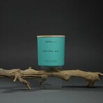 Smells Like: Neutral Air // Odor Neutralizing Candle Candle // 11 oz or 15 oz  (11 oz Candle)