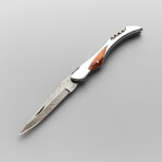 The Vantage T8 // Clip Point // Rose Wood & Steel