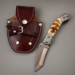 The Prodigy P4 // Tanto // Sheep Horn & Damascus Steel Bolsters