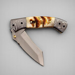 The Prodigy P4 // Tanto // Sheep Horn & Damascus Steel Bolsters