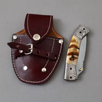 The Prodigy P4 // Tanto // Sheep Horn & Damascus Steel Bolsters