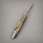 The Prodigy P4 // Tanto // Sheep Horn & Damascus Steel Bolsters