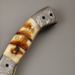 The Prodigy P4 // Tanto // Sheep Horn & Damascus Steel Bolsters
