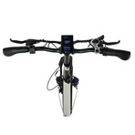 GoExpress V2 Folding Electric Bike (Black)