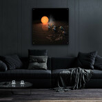 Abstract Concept Of Trappist-1 System by NASA (12"H x 12"W x 0.13"D)