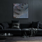 Dunes In Noachis Terra Region Of Mars by NASA (12"H x 12"W x 0.13"D)