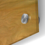 Jupiter by NASA (12"H x 24"W x 0.13"D)