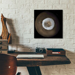 Mars At Ls 211 by NASA (12"H x 12"W x 0.13"D)