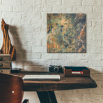 Diversity In Mawrth Region, Mars by NASA (12"H x 12"W x 0.13"D)