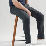 Dark Grey UltraFlex Slim Fit Chino // Grey (30/30)