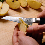 Paring Knife // 9 Cm Blade // Bunka Damas Collection