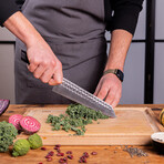 Kiritsuke (Chef Knife) // 21 Cm Blade // Bunka Collection