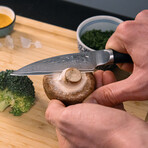 Paring Knife // 9 Cm Blade // Pakka Damas Collection