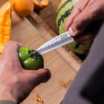 Paring Knife // 9 Cm Blade // Pakka Collection