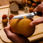 Paring Knife // 9 Cm Blade // Bunka Damas Collection