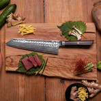 Kiritsuke (Chef Knife) // 21 Cm Blade // Bunka Damas Collection