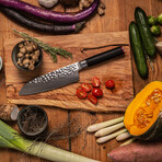 Santoku // 18 Cm Blade // Pakka Damas Collection