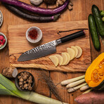Santoku // 18 Cm Blade // Pakka Damas Collection