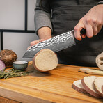 Santoku // 18 Cm Blade // Pakka Damas Collection