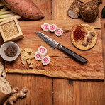 Paring Knife // 9 Cm Blade // Bunka Damas Collection