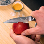 Paring Knife // 9 Cm Blade // Pakka Damas Collection