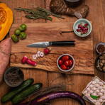 Paring Knife // 9 Cm Blade // Pakka Damas Collection