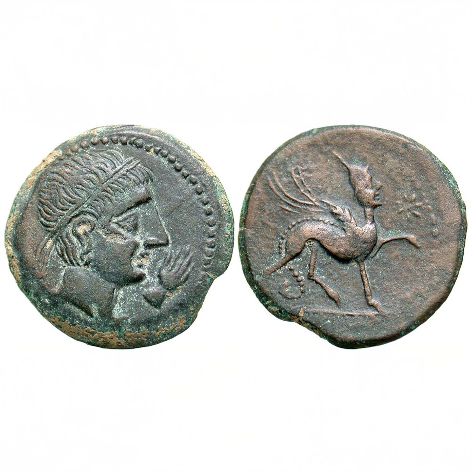 Ancient Resource - Rare Coins From Civilizations Past - Touch of Modern