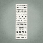 Washington Dc 12" X 36" // Typographical Print