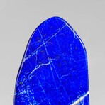 Genuine Polished Lapis Lazuli Freeform // 1.6 lbs