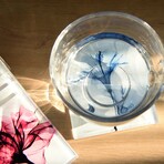 Pretty Bouquet Coasters Super White Glass Coasters with Cork Bottom // Set of 12 Florals