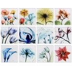 Pastel Fleurs Coasters Super White Glass Coasters with Cork Bottom // Set of 12 Florals