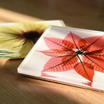 Pastel Fleurs Coasters Super White Glass Coasters with Cork Bottom // Set of 12 Florals