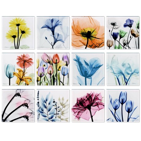 Pretty Bouquet Coasters Super White Glass Coasters with Cork Bottom // Set of 12 Florals