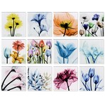 Pretty Bouquet Coasters Super White Glass Coasters with Cork Bottom // Set of 12 Florals
