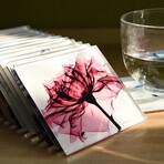 Pretty Bouquet Coasters Super White Glass Coasters with Cork Bottom // Set of 12 Florals