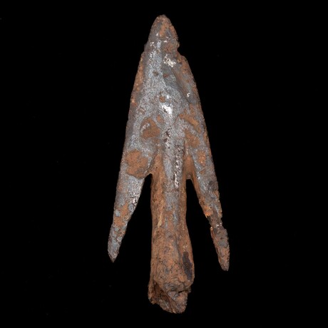 Medieval Longbow Arrow-head // 8th-10th century AD