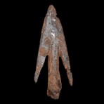 Medieval Longbow Arrow-head // 8th-10th century AD